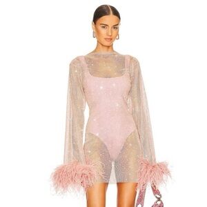 Pink Mesh Dress with Feather Cuffs